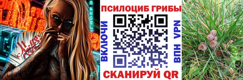 Галлюциногенные грибы GOLDEN TEACHER  Яровое 
