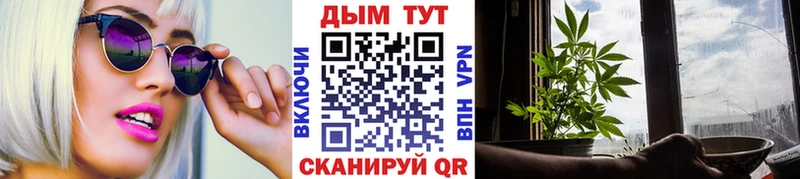 Конопля планчик  купить   Яровое 